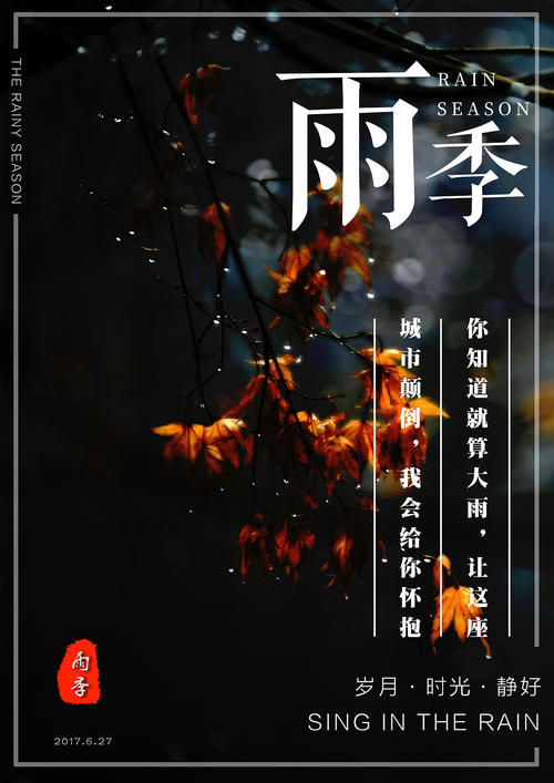 国际驾照在中国可以用吗